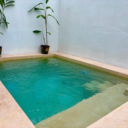 فيلا Excelente Alberca Privada En Residencial Privado, Gym, Asador سيوداد فاليس المظهر الخارجي الصورة