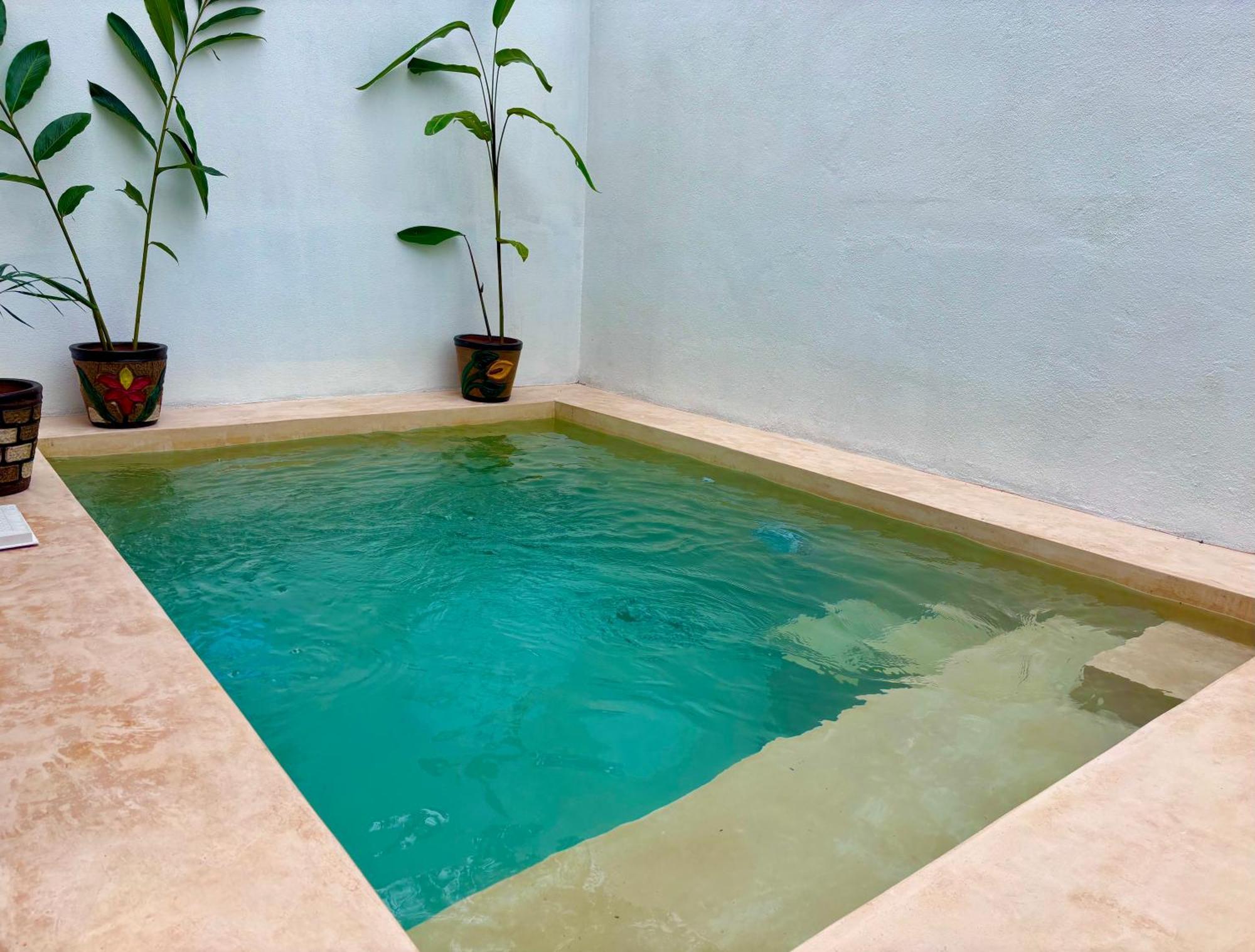 فيلا Excelente Alberca Privada En Residencial Privado, Gym, Asador سيوداد فاليس المظهر الخارجي الصورة