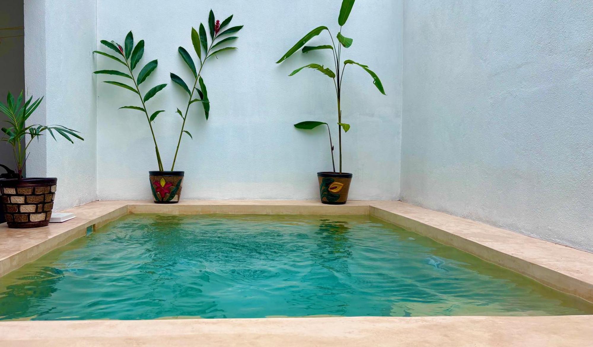 فيلا Excelente Alberca Privada En Residencial Privado, Gym, Asador سيوداد فاليس المظهر الخارجي الصورة