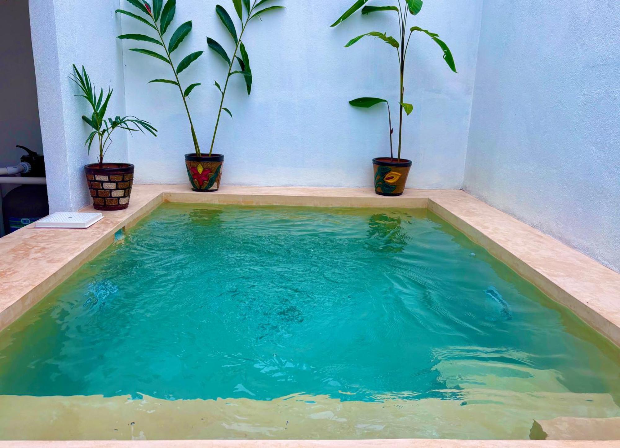 فيلا Excelente Alberca Privada En Residencial Privado, Gym, Asador سيوداد فاليس المظهر الخارجي الصورة