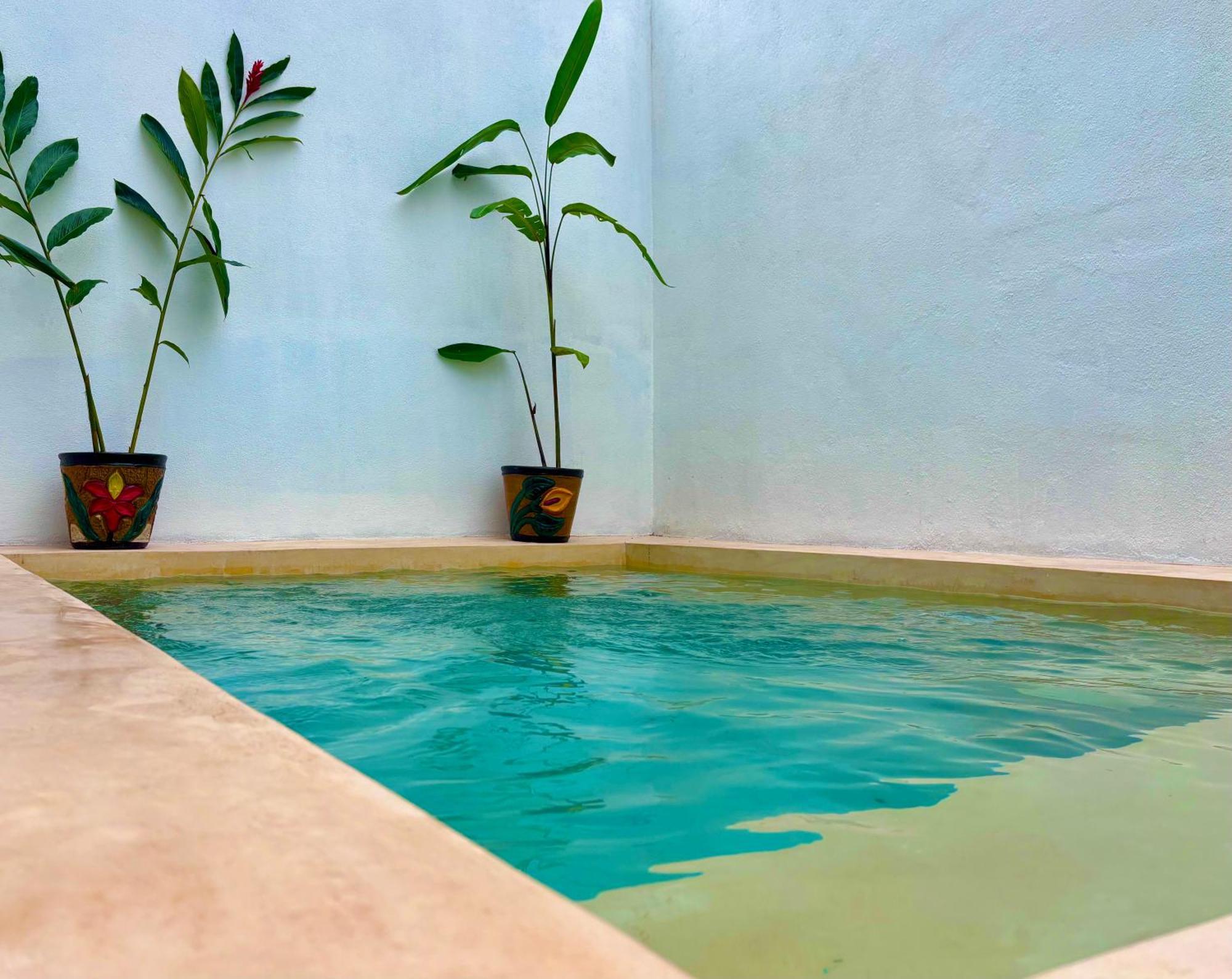 فيلا Excelente Alberca Privada En Residencial Privado, Gym, Asador سيوداد فاليس المظهر الخارجي الصورة